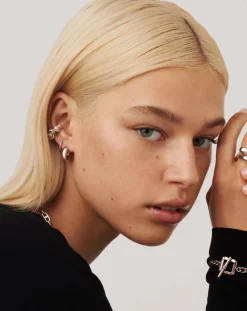 Chubby Mini Hoop Earrings