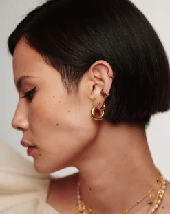 Chubby Small Hoop Earrings