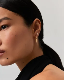 Claw Hoop & Stud Earring Set