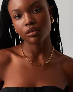 Dome Hoop Earrings & Chain Necklace Set
