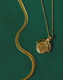 Flat Snake Chain Necklace