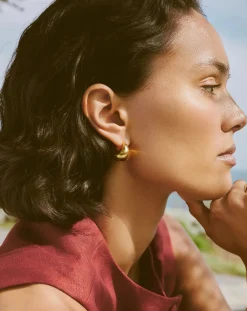 Sculptural Chubby Dome Small Hoop Earrings