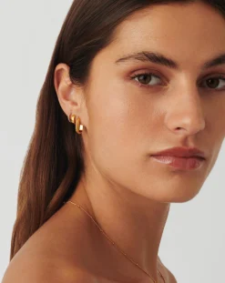 Zenyu Link Ridge Ovate Hoop Earrings